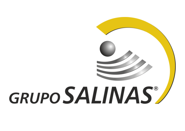 Grupo Salinas